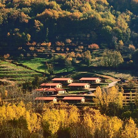 Apartamentos Rurales La Vega Del Jerte Eksteriør billede